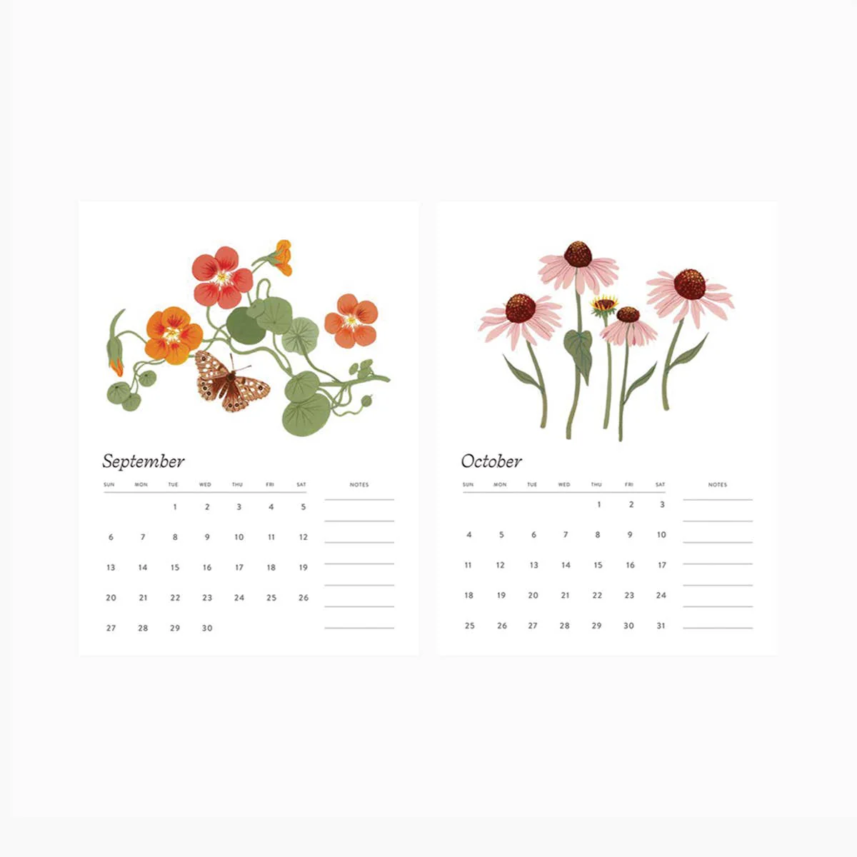 2026 DESK CALENDAR / BOTANIST - Image 3
