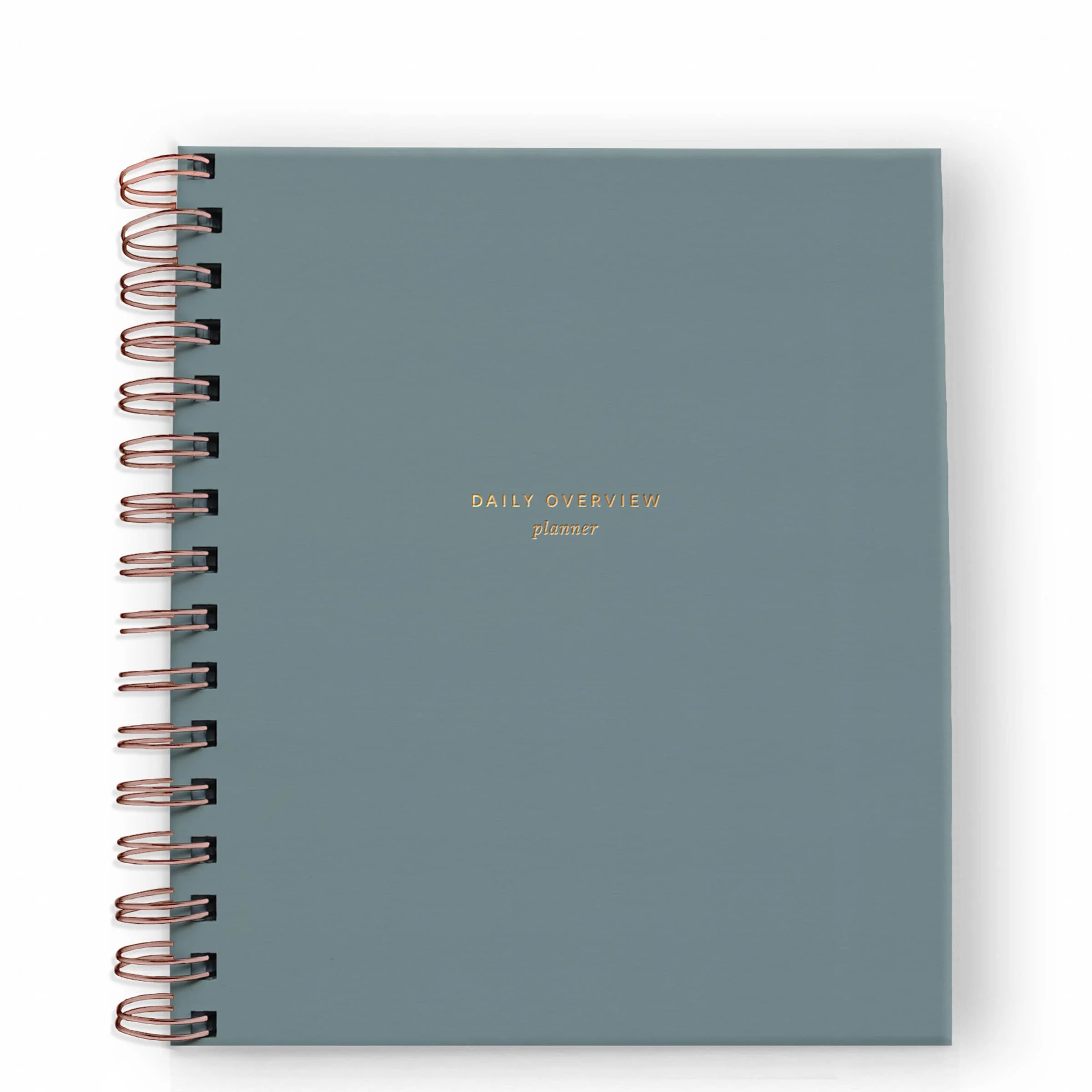 Ramona & Ruth | Daily Overview Planner | Fern - Image 7