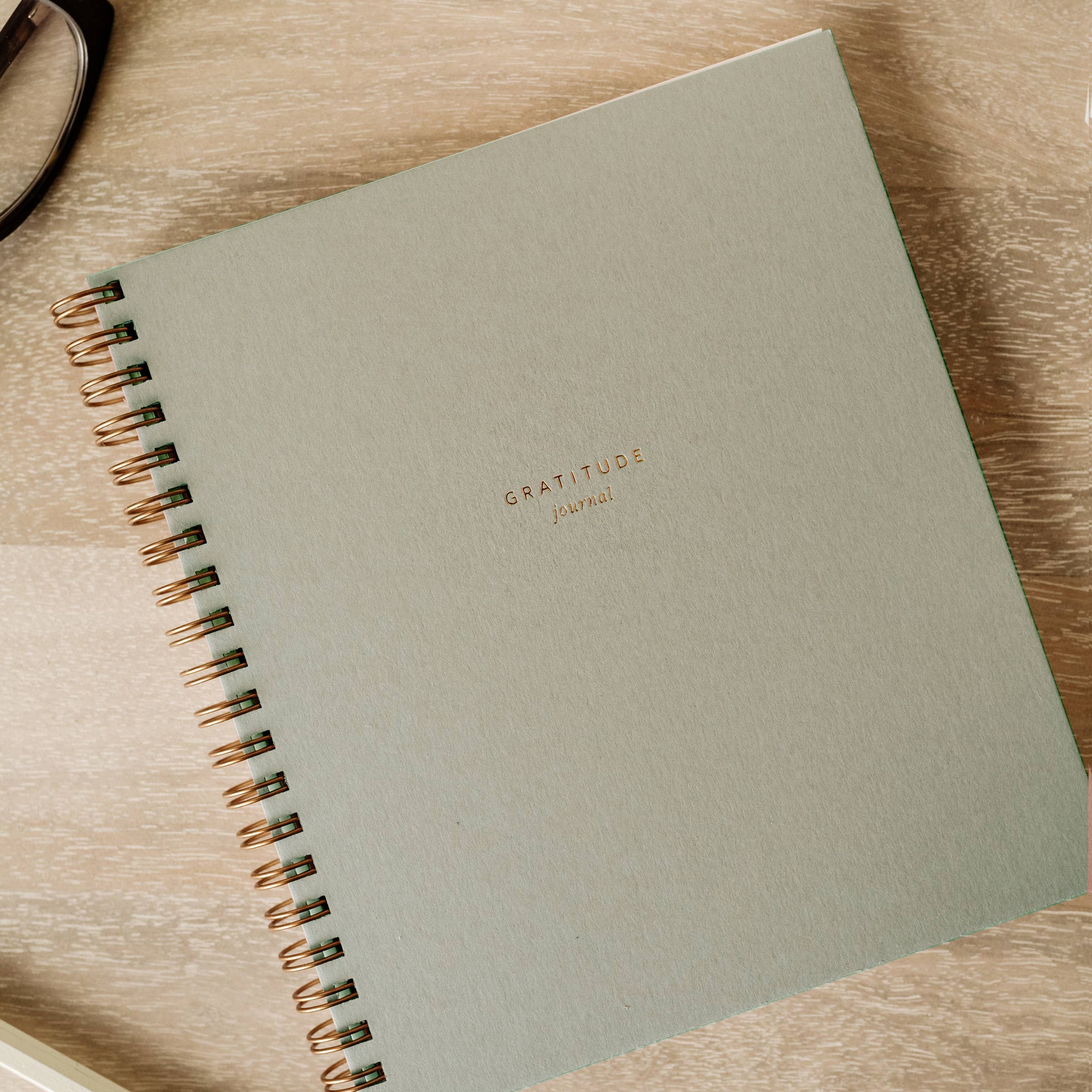 Ramona & Ruth | Mini Gratitude Journal - Image 5