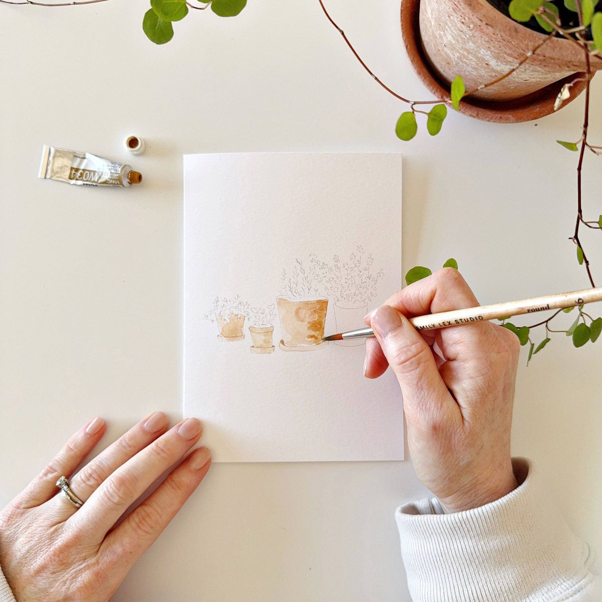 emily lex | Potted Plants Paintable Notecards - Image 8